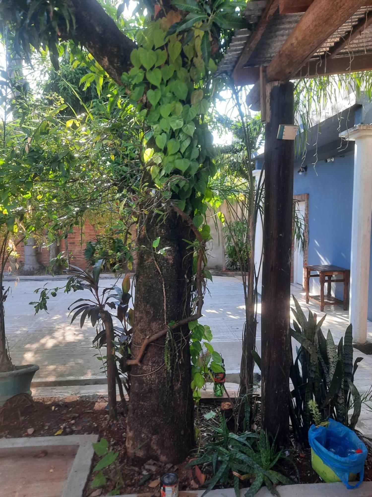 La Posada De Dante Puerto Iguazú Eksteriør billede